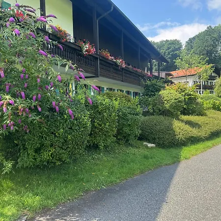 Ciao-aschau Gschwendtnerhof Ap16 Bunk