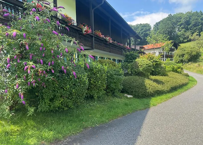 Ciao-aschau Gschwendtnerhof Ap16 Bunk